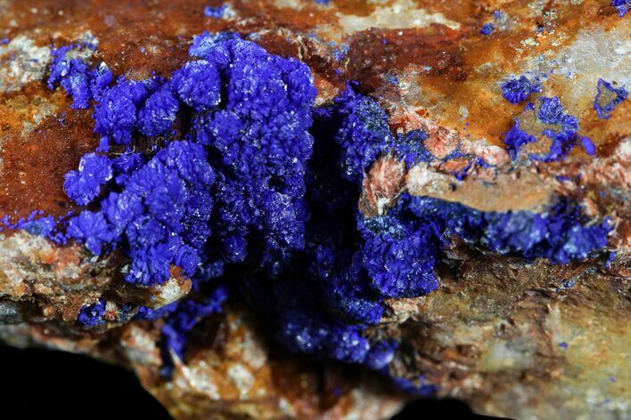 Azurite on Orange Barite - Morocco #57017